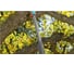 Телескопическая рукоятка 210-390 см для комбисистемы Gardena 03721-20.000.00 6