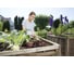 Ручной рыхлитель 7 см Gardena Comfort 08957-20.000.00 7