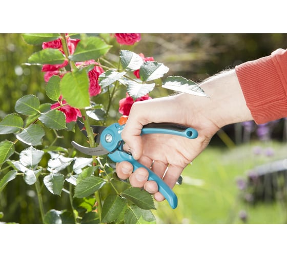 Секатор B/S-M Gardena 08853-30.000.00