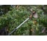 Насадка-плодосъёмник Fiskars QuikFit 1000693 13