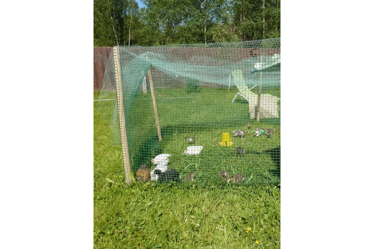 Квадратная садовая сетка Гидроагрегат 33x33 1x20 Строительная ПРОФИ ...