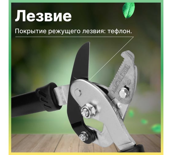 Сучкорез STARTUL Garden ST6096-04
