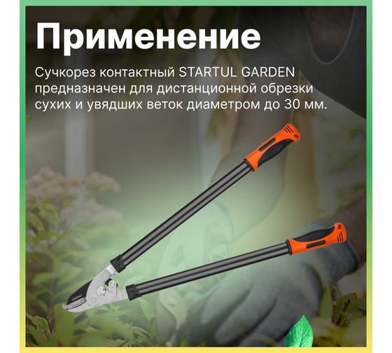 Сучкорез STARTUL Garden ST6096-04