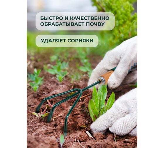 3-зубый рыхлитель для почвы с деревянной рукояткой WMS Tools WMC-TG2104020-L