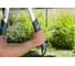 Сучкорез GARDENA TeleCut 650-900 B 12009-20.000.00 4
