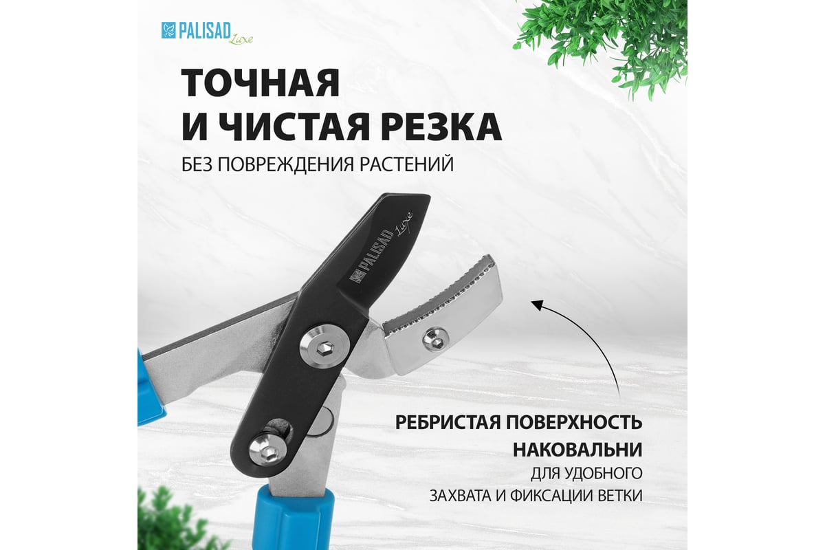 Сучкорез телескопический с наковальней PALISAD LUXE 60577 - выгодная цена,  отзывы, характеристики, фото - купить в Москве и РФ