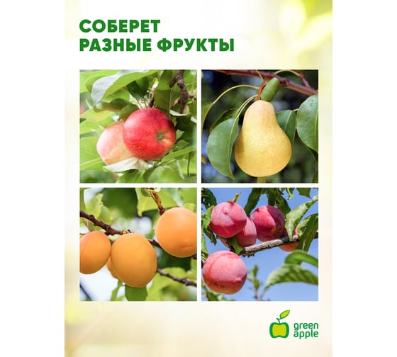 Телескопический плодосъемник GREEN APPLE GAPS01-89 Б0017802