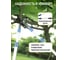 Телескопический сучкорез GREEN APPLE GTBL12-007 с храповым механизмом, плоскостной Б0003062 7