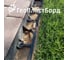 Колышки садовые с фиксатором для пластиковых бордюров ГеоПластБорд СТАФФ 24 см комплект 30 шт., цвет черный k240mm. 30 k240mm.30 8