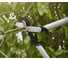 Плоскостной средний сучкорез FISKARS PowerGearX LX94 1020187 8