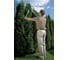 Комплект: ножницы для живой изгороди Comfort 700 T + секатор Classic GARDENA 00394-30.000.00 4