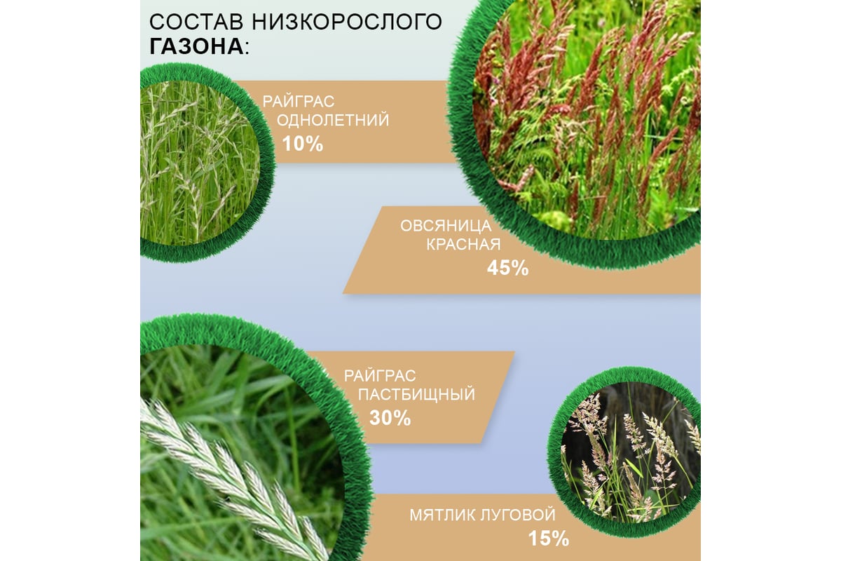 Семена газона Мираторг  газон 1 кг 1010024802 - выгодная .