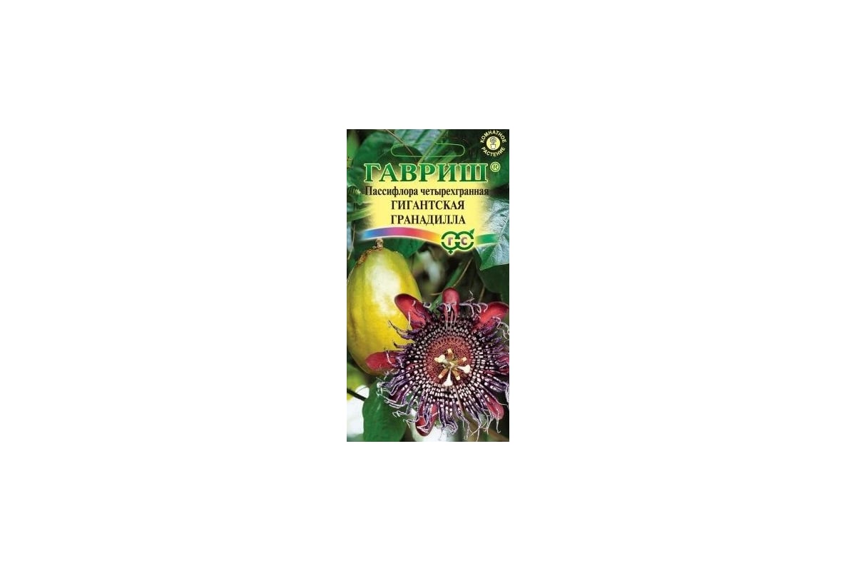 Пассифлора ГАВРИШ Гигантская гранадилла (четырехгранная) 3 шт. 1026997542 -  выгодная цена, отзывы, характеристики, фото - купить в Москве и РФ