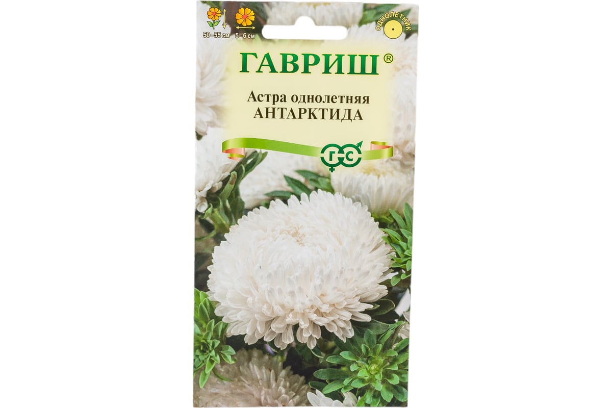 Семена ГАВРИШ Астра Антарктида, однолетняя (пионовидная белая), 0.3 г 002698