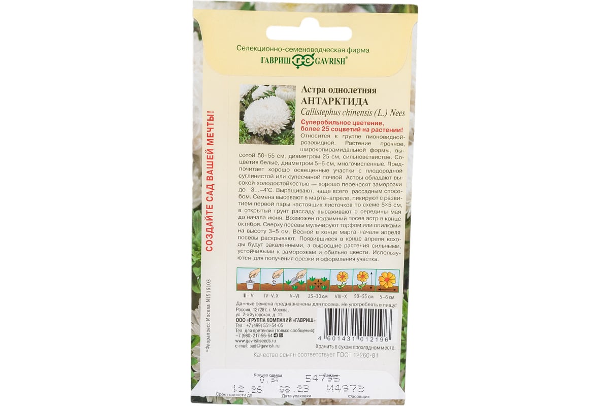 Семена ГАВРИШ Астра Антарктида, однолетняя (пионовидная белая), 0.3 г  002698 - выгодная цена, отзывы, характеристики, фото - купить в Москве и РФ