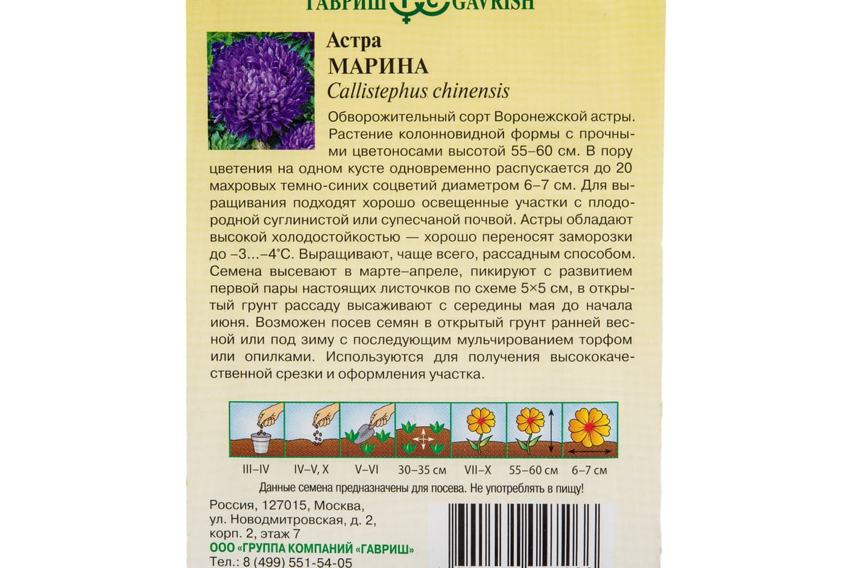 Семена ГАВРИШ Астра Марина однолетняя (воронежская фиолетовая), 0.3 г  10009034 - выгодная цена, отзывы, характеристики, фото - купить в Москве и  РФ