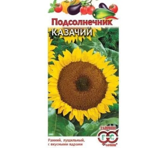 Казачий подсолнечник. Семена Гавриш подсолнечник казачий 10 г. Подсолнечник Енисей 10г Гавриш. Аэлита подсолнечник казачий. Семена Гавриш удачные семена подсолнечник Лакомка 10 г.