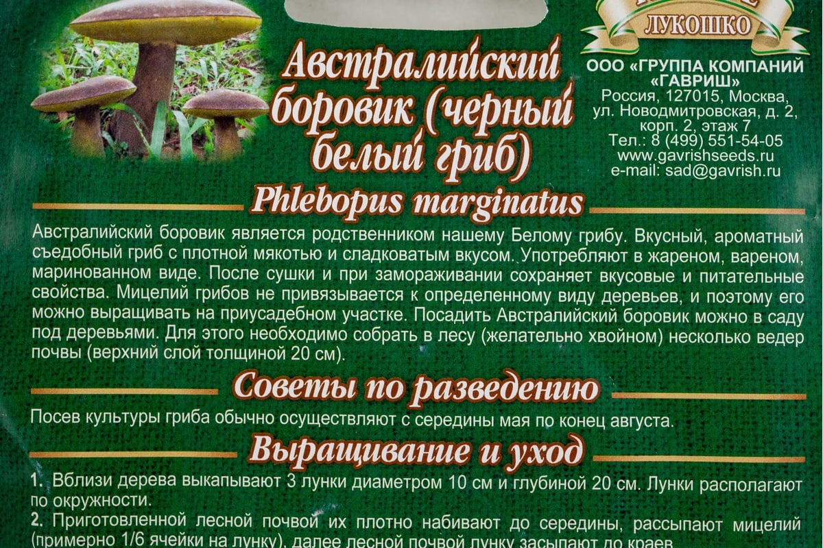 Боровик ГАВРИШ австралийский гриб на зерновом субстрате, большой пакет 15  мл 1026998931 - выгодная цена, отзывы, характеристики, фото - купить в  Москве и РФ