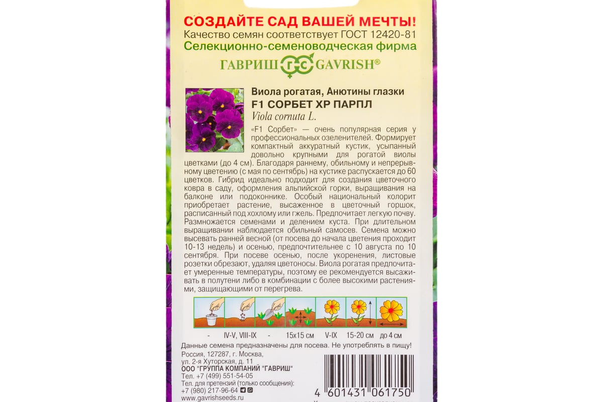 Семена ГАВРИШ Виола Сорбет XP Парпл рогатая (Анютины глазки) 4 шт.  1071857631