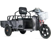 Трицикл RUTRIKE D1 1200 60V900W, серый 021492-1973