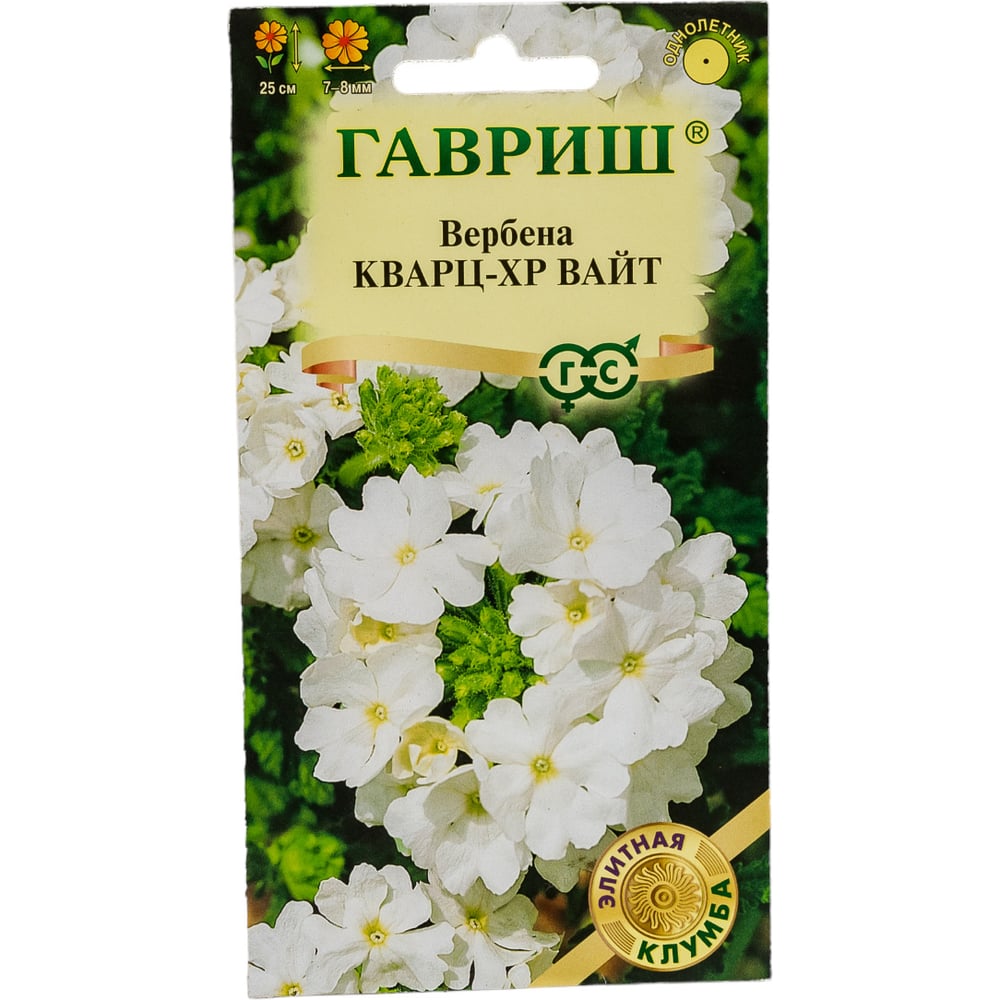 Вербена ГАВРИШ Кварц XP Вайт, гибридная 4 шт, серия Элитная клумба  1071857135 - выгодная цена, отзывы, характеристики, фото - купить в Москве  и РФ