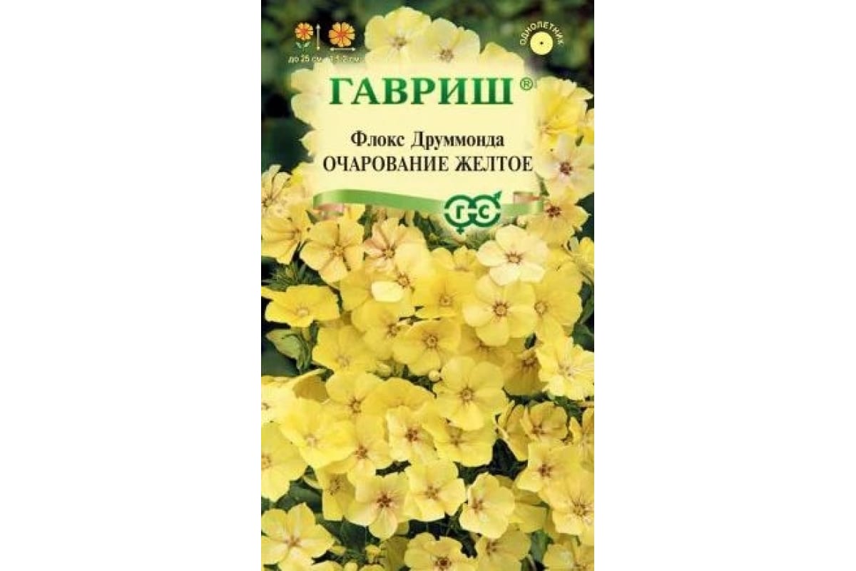 Флокс Orchid Yellow