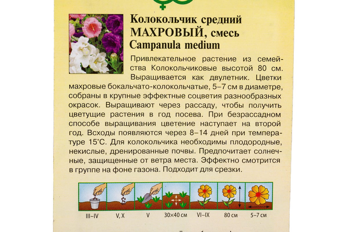 Колокольчик многолетний, Камнеломка - mydobro seeds