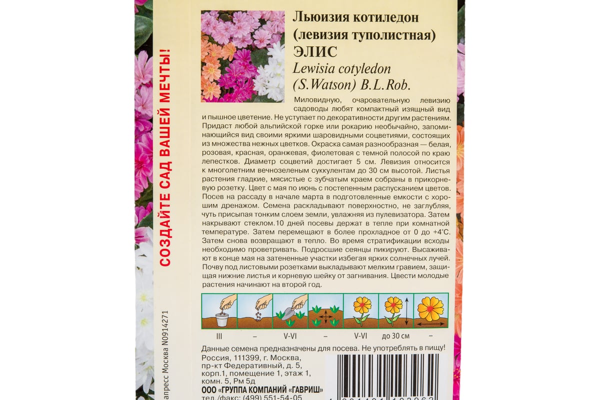 Льюизия котиледон, левизия туполистная ГАВРИШ Элис 5 шт. 1026995630