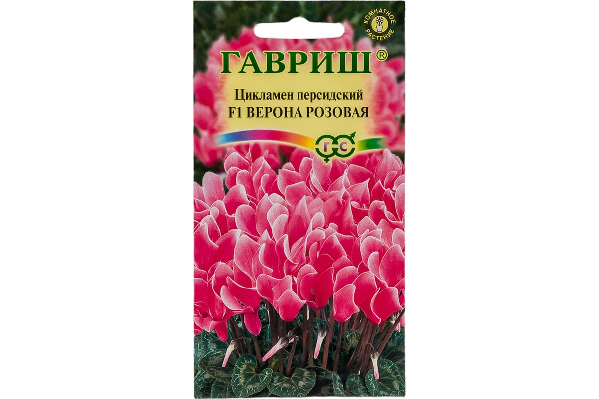 Семена ГАВРИШ Цикламен Верона розовая, персидский, 3 шт. 1999946878