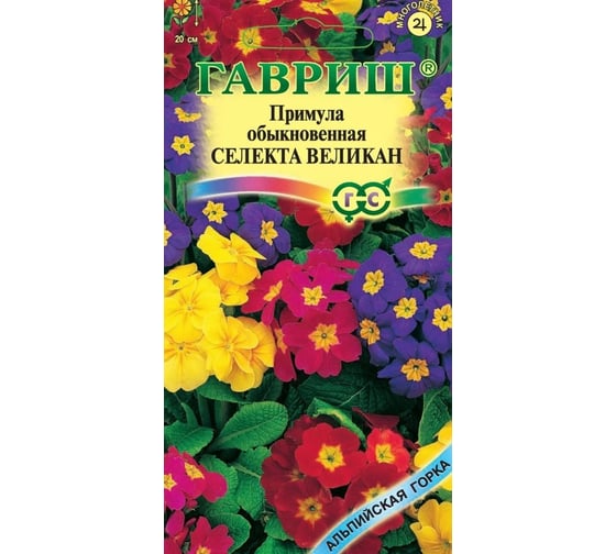 семена примулы шаровидной. примула зубчатая семена. примула непальская зубчатая смесь. примула мелкозубчатая лилак. примула мелкозубчатая королла дип роуз.