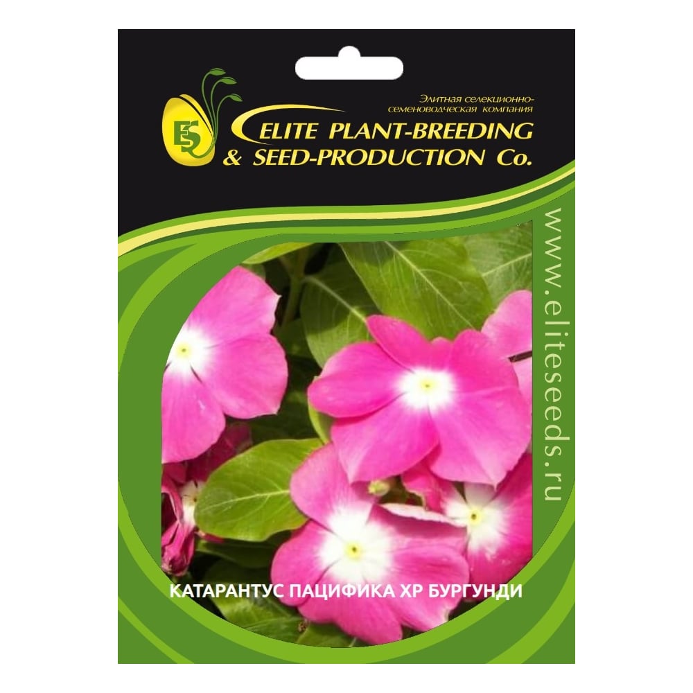 Семена ELITE PLANT-BREEDING & SEED PRODUCTION Co. Катарантус гибридный ...