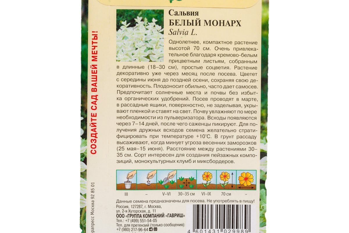 Семена ГАВРИШ Сальвия Белый монарх хорминум 0.05 г 10001704