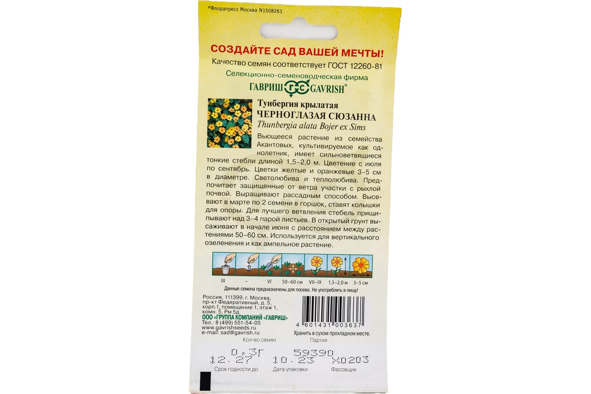 Семена ГАВРИШ Тунбергия крылатая Черноглазая Сюзанна 0.3 г 00001653 -  выгодная цена, отзывы, характеристики, фото - купить в Москве и РФ