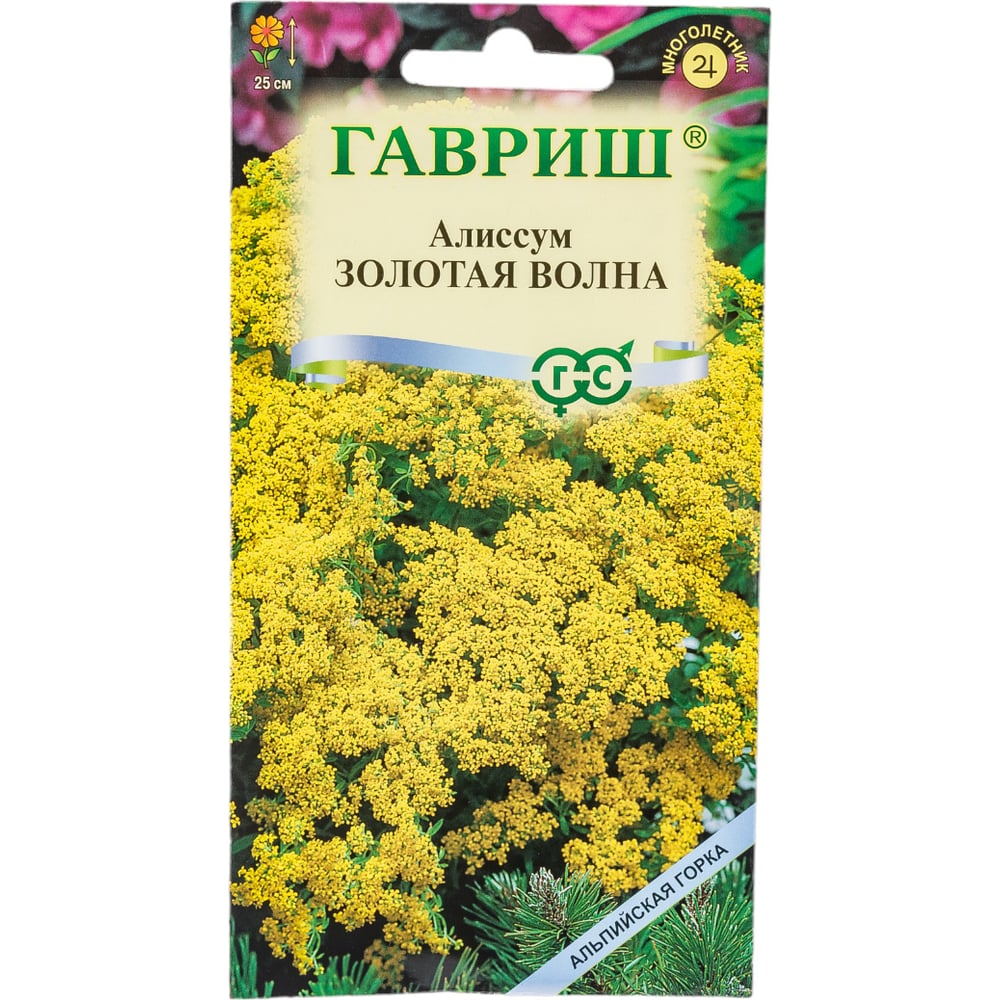 Семена ГАВРИШ Алиссум Бурачок Золотая волна, скальный 0.1 г серия Альпийская  горка 00003255 - выгодная цена, отзывы, характеристики, фото - купить в  Москве и РФ