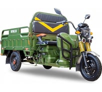 Трицикл RUTRIKE Дукат 1500 60V1000W зеленый 021346-1968