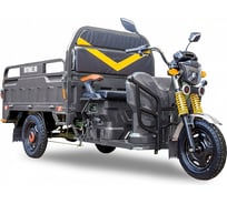 Трицикл RUTRIKE Дукат 1500 60V1000W серый 021346-2054