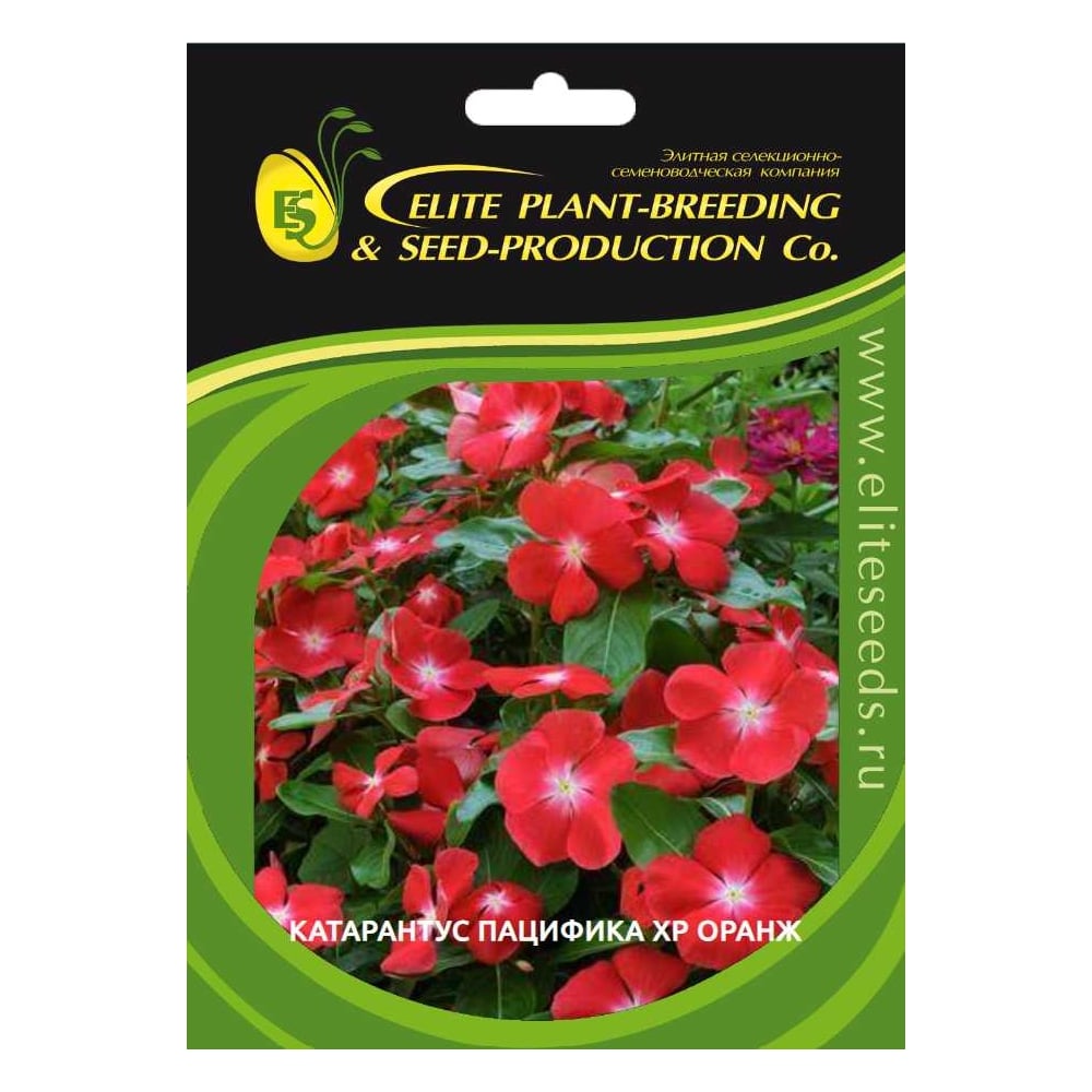 Катарантус ELITE PLANT-BREEDING & SEED PRODUCTION Co. гибридный ...