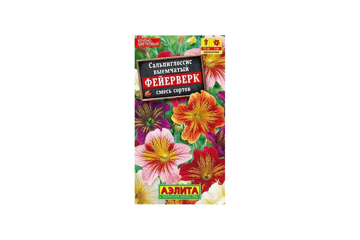 Сальпиглоссис Купить