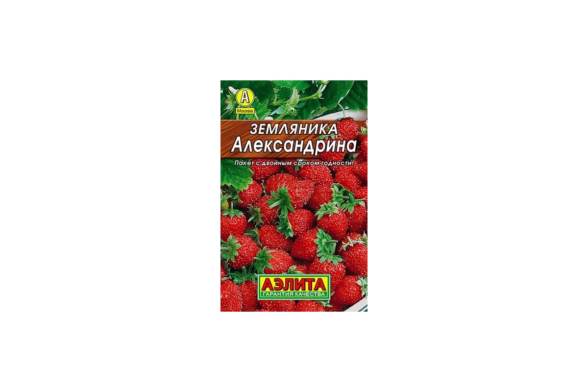 Земляника сорта александрия: найдено 89 картинок