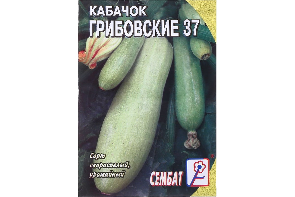 Семена АРТИКУЛ Кабачок Грибовские 37 2 г евро + среднеранний 4607089741808  - выгодная цена, отзывы, характеристики, фото - купить в Москве и РФ