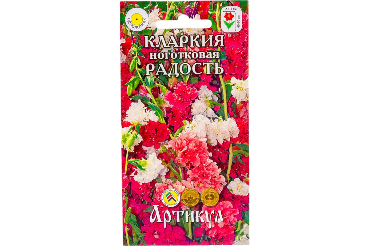 Цветок кларкия: посадка и уход в открытом грунте, фото, когда сажать на рассаду