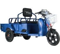 Трицикл RUTRIKE D1 1200 60V900W, синий 021492-1974