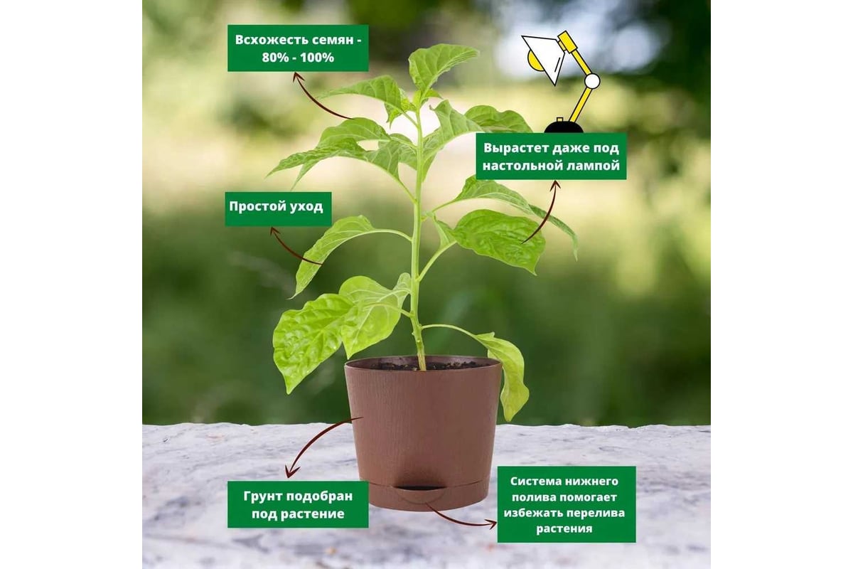 Набор для выращивания растений Plant Republic Перец острый Тринидад  Скорпион Красный pr-017 - выгодная цена, отзывы, характеристики, фото -  купить в Москве и РФ