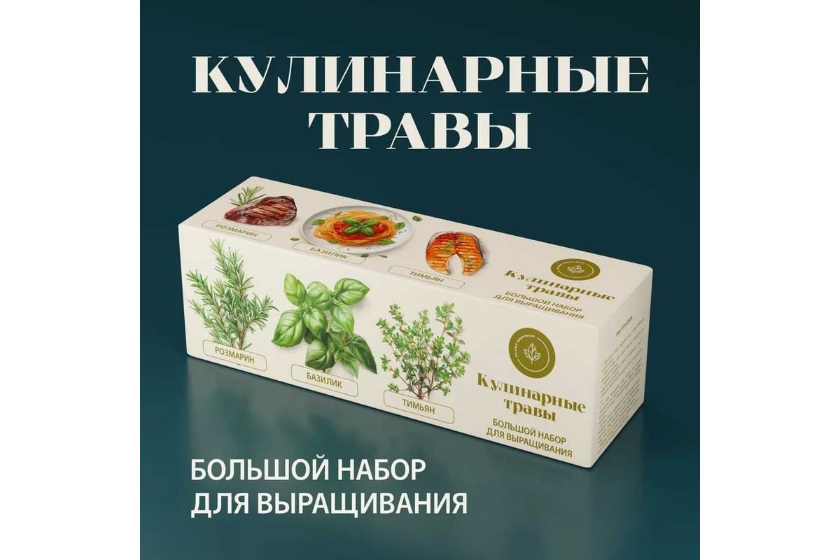 Набор для выращивания растений Plant Republic Кулинарные травы pr-025