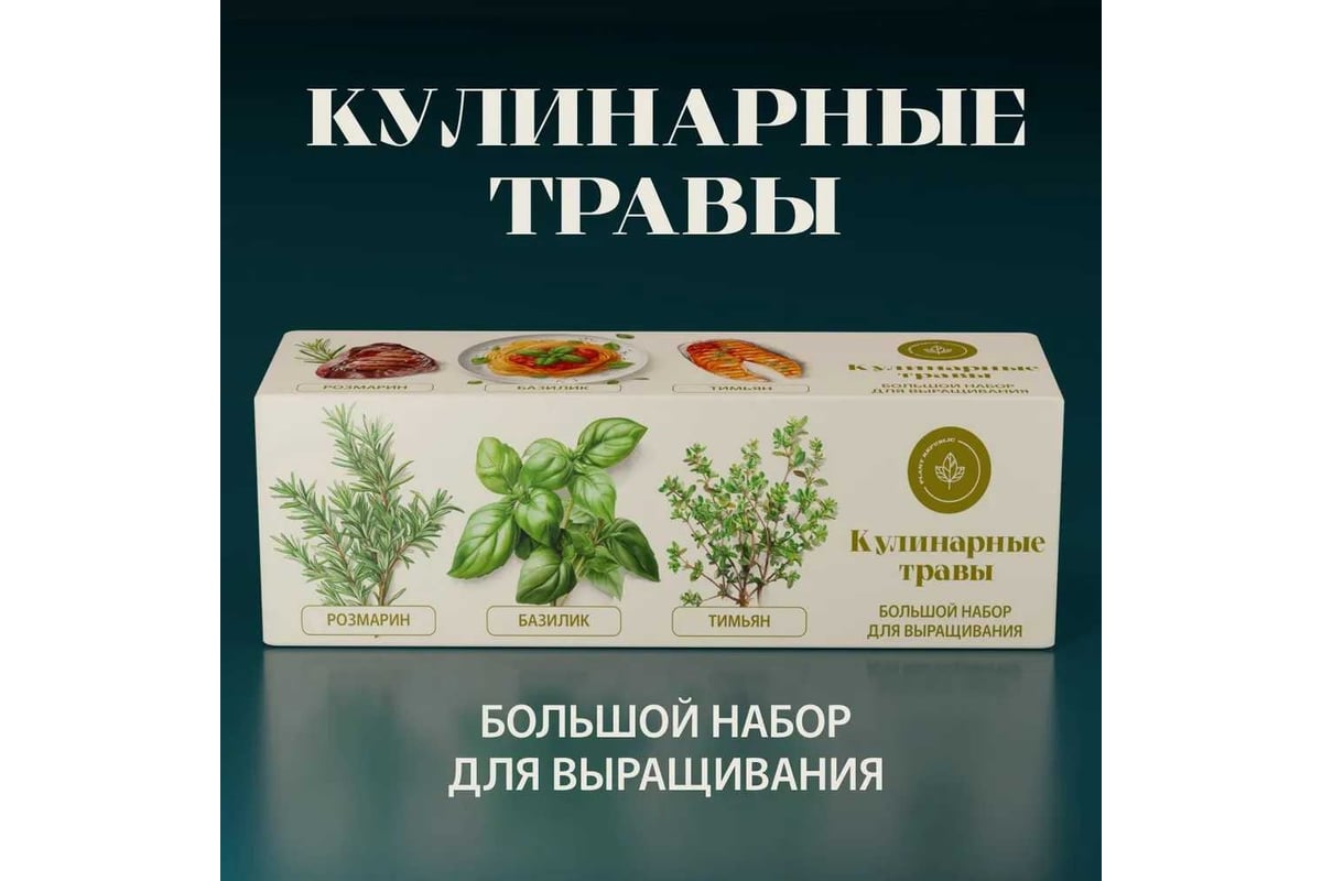 Набор для выращивания растений Plant Republic Кулинарные травы pr-025