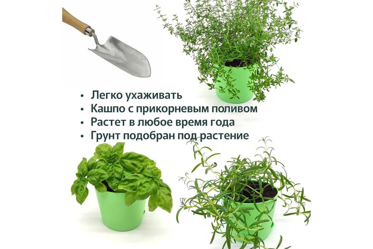 Набор для выращивания растений Plant Republic Кулинарные травы pr-025