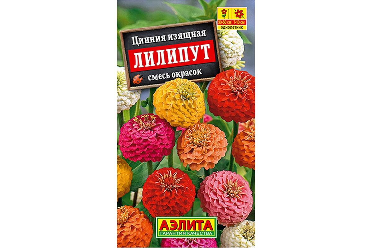 Семена Аэлита Цинния Лилипут, смесь окрасок, однолетний, 0.5 г  4601729000669 00-00569494 - выгодная цена, отзывы, характеристики, фото -  купить в Москве и РФ