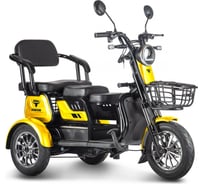 Трицикл Rutrike Бумеранг 022656-2338