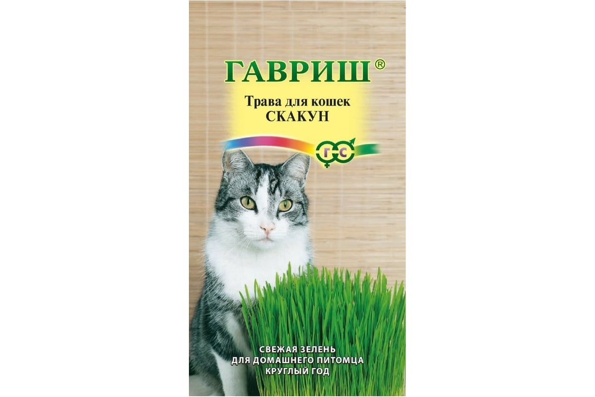 Семена Гавриш Трава для кошек Скакун 1 г 002373 - выгодная цена, отзывы,  характеристики, фото - купить в Москве и РФ