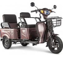 Трицикл Rutrike Вагон 022662-2366
